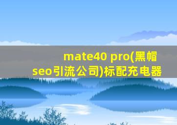 mate40 pro(黑帽seo引流公司)标配充电器